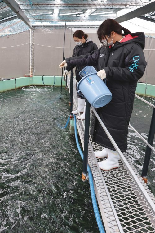 JR西日本が鳥取県と組んで始めた日本初の商業用マサバ陸上養殖場（岩美町）