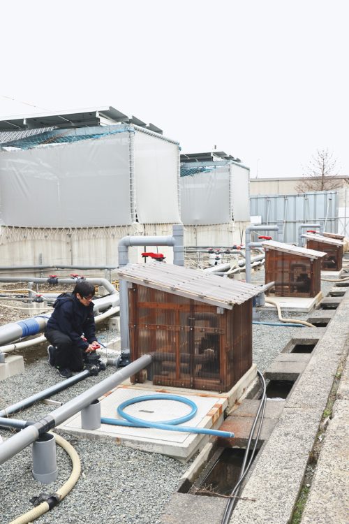 自然濾過されたクリーンな地下海水をくみ上げる井戸小屋は8か所ある。点検する田島代表は建設前のボーリング調査から携わっている