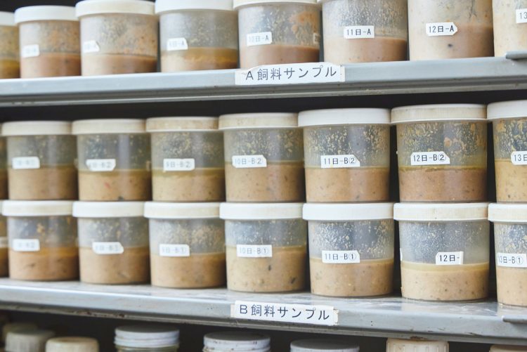 完成した粥状の飼料のサンプル。野菜や果物の栄養が多く含まれた「健康食」だ