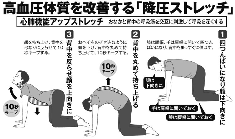 高血圧体質を改善する「降圧ストレッチ」【心肺機能アップストレッチ】