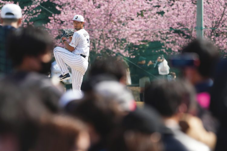 すべての人間を魅了するトップアスリートへと変貌した