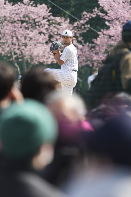 ファン、メディアの注目も集まる