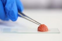 動物を飼育せず大豆も使わない「培養肉」 成長ホルモン使用を懸念する声も