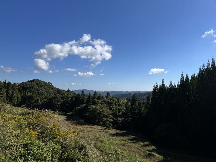 尾崎さんは「桜が桃源郷のようだ」との感想をもらったこともあるという