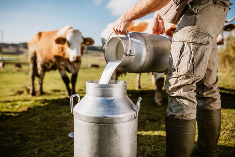 牛乳にもホルモン剤の危険が迫る（写真／GettyImages）