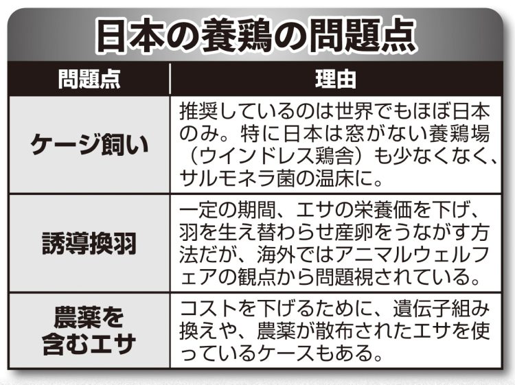 日本の養鶏の問題点