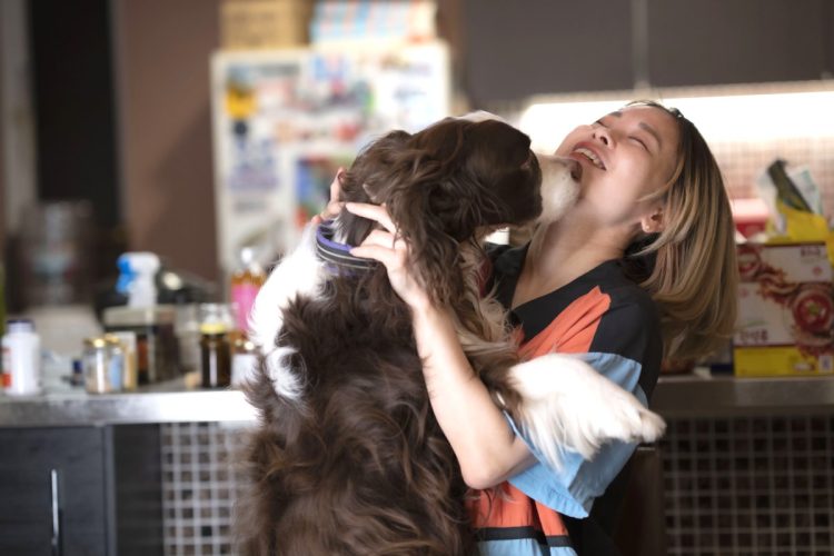 愛犬とじゃれ合う鳥飼さん