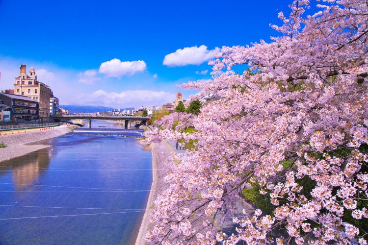 花の回廊をくぐりながら春を満喫（写真／アフロ）