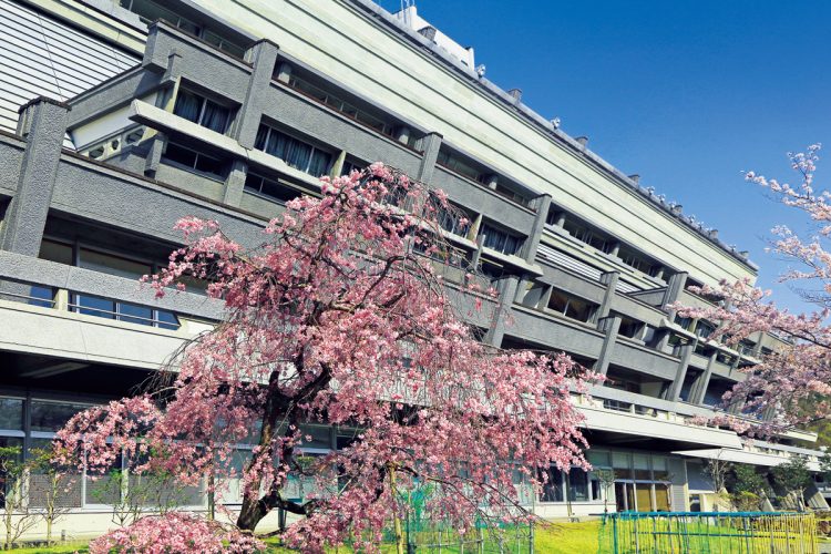 広大な庭園で喧噪を離れのんびりと桜を鑑賞