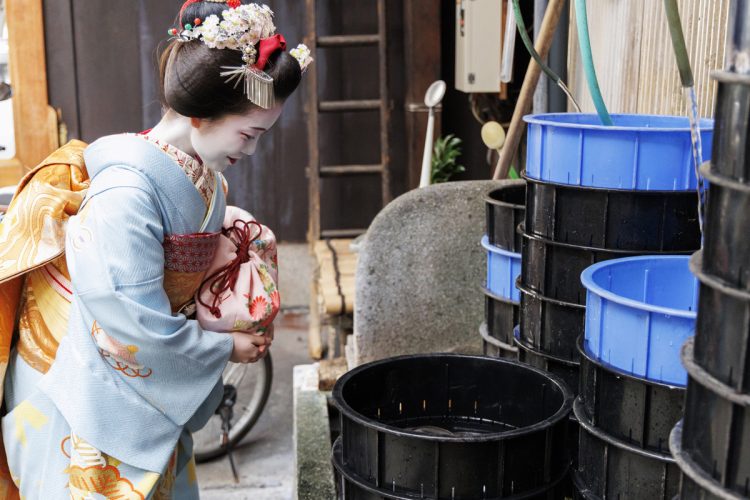 お店のすぐ横では鰻を地下水で生かしているため、毎日新鮮な鰻を提供できる。ふく凧さんも興味津々！