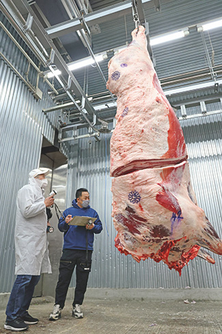 県内の卸売市場にて、神戸ビーフに認定された枝肉を確認する川岸畜産社長の川岸正樹さん(右)と父親の裕人さん(撮影/横田紋子)