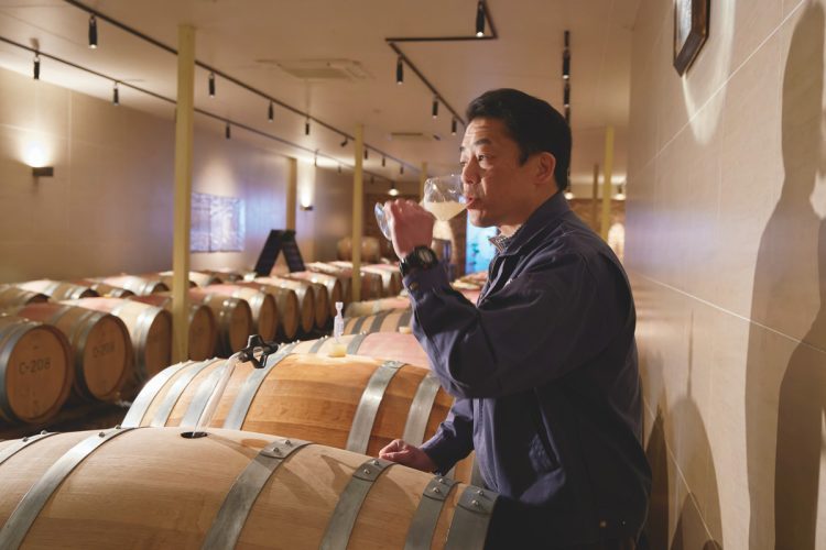 昨秋収穫した甲州種の原酒の熟成具合を確認する安田製造部長。約130個の樽が並び、品種や商品によって熟成期間は異なる。甲州などの白ワインは半年ほど熟成させる(撮影/中庭愉生)