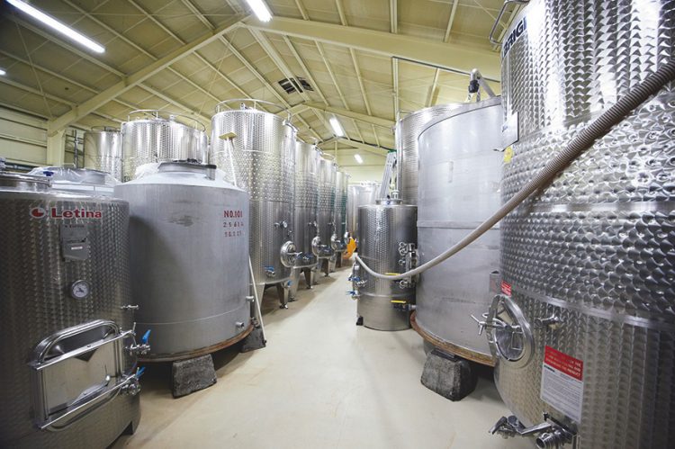 圧搾して得た果汁はタンクに入れ、酵母菌を使ってアルコール発酵させる。発酵後、樽で熟成へ(撮影/中庭愉生)