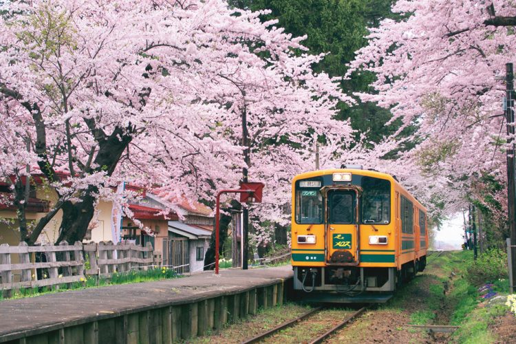 芦野公園を通る「走れメロス号」（青森県）