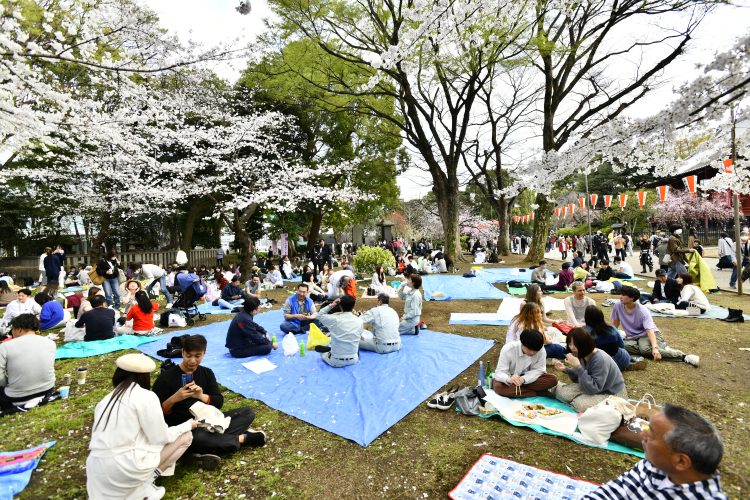 のどかな風景がひろがった