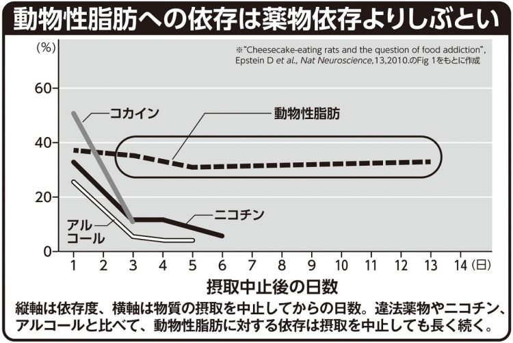 動物性脂肪への依存は薬物依存よりしぶとい