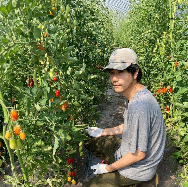 “自給自足”にこだわり、ビニールハウスでミニトマトを栽培（松山のインスタグラムより）