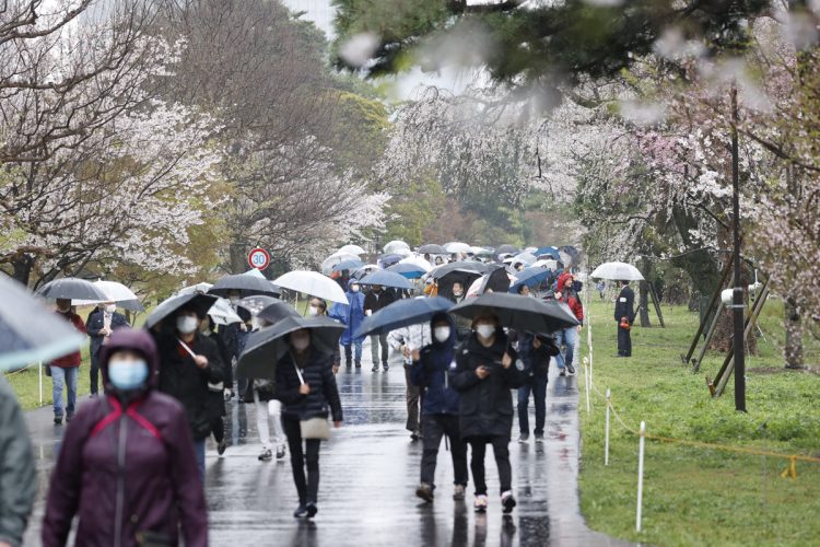 一般公開中の皇居乾通りを訪れる人たちも、マスク姿が大半（写真／共同通信社）