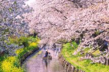 春の旅行シーズン まだ間に合う「全国旅行支援」と掛け合わせでさらにお得な「自治体の独自割」