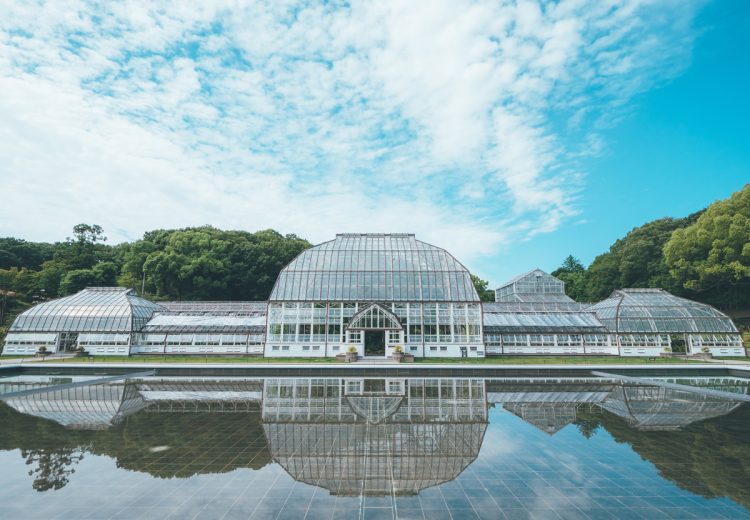 開園当初から“東洋一の水晶宮”と称された温室は、2021年にリニューアルオープン