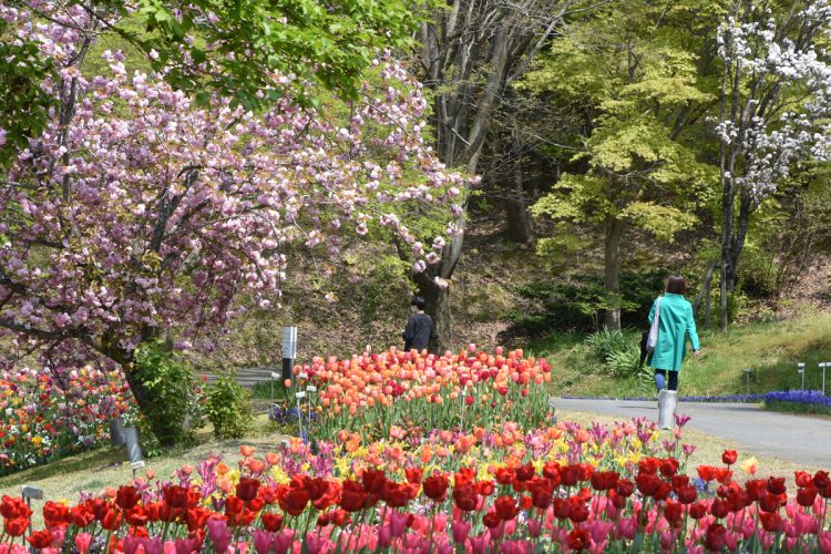 鳥取県のシンボル「大山」を間近に望む立地。いつ訪れても美しい花々が咲く