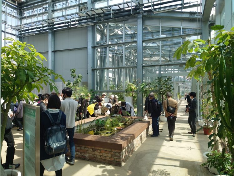温室では熱帯・亜熱帯地域に生息する植物を中心に約2000種を展示している