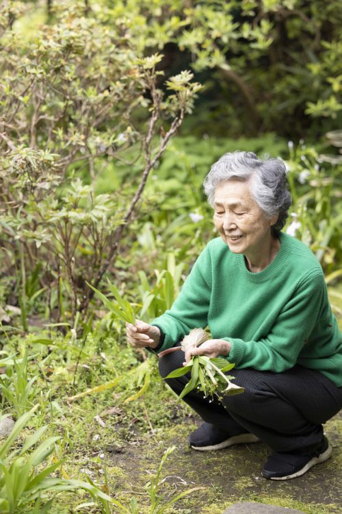 自宅の庭には自生していた野草のほか、ほしかった野草を少しずつ植えているという。春はカンゾウや明日葉、山椒なども採れる