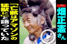 【動画】畑正憲さん「亡骸はアマゾンの猛獣に」と語っていた