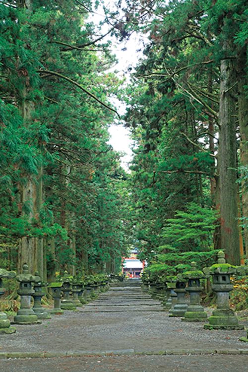 杉並木の参道を抜けると…（写真／アフロ）