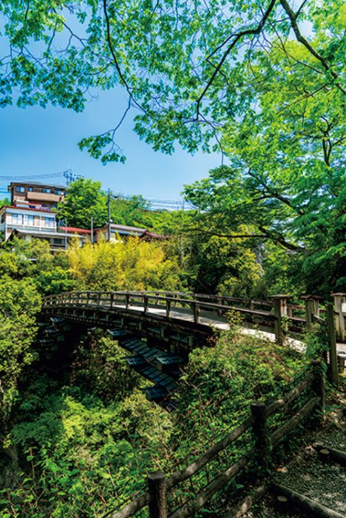 歌川広重の「甲陽猿橋之図」にも描かれた猿橋（写真／アフロ）