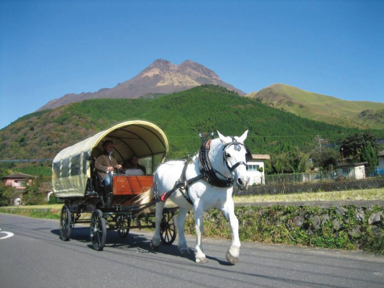 由布院を楽しむ