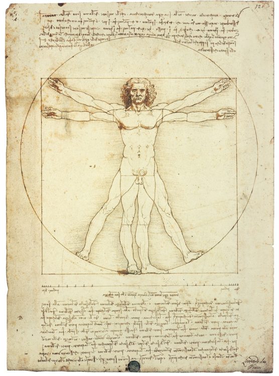 レオナルド・ダ・ヴィンチ 人体均衡図（ウィトルウィウス的人体） 1490年頃　水彩　メタルポイント ペン　インク　紙　34.3×24.5cm アカデミア美術館　ヴェネツィア