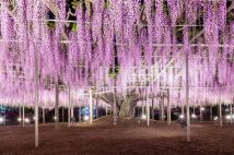 GWでも使える割引きっぷに注目 まだ間に合う!“旅の達人”が教えるお得に国内旅行を楽しむコツ