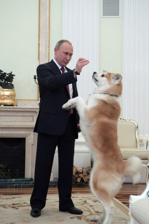秋田犬と遊ぶプーチン氏（AFP＝時事）