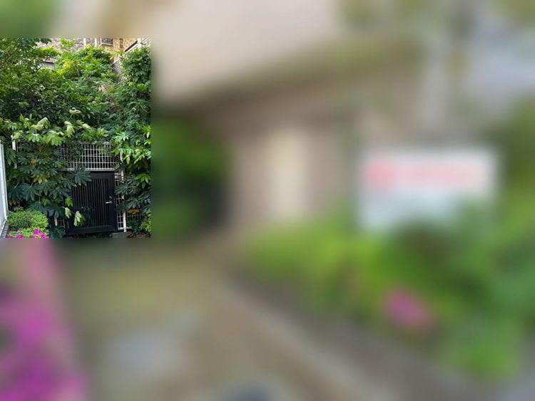マンション裏口には植物がぎっしり