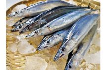 「魚メインはヘルシー」の常識は間違い? 健康を害さないための肉・魚の正しい食べ方