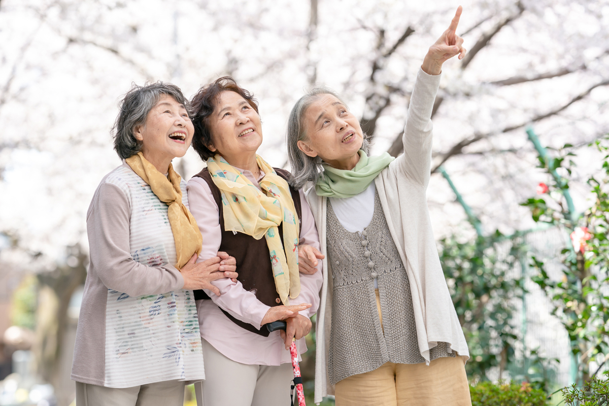 六十路　同窓会 60代以上の同窓会が増加、「日曜の昼」の開催が多いのが特徴 コロナを経て集まることにプレミア感｜NEWSポストセブン