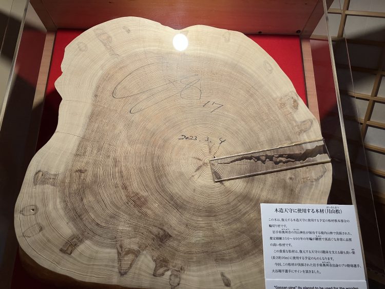 大谷翔平のサインが入った「月山松」の切り株