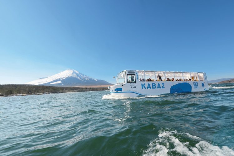 【山梨県】水陸両用バス　山中湖のカバ