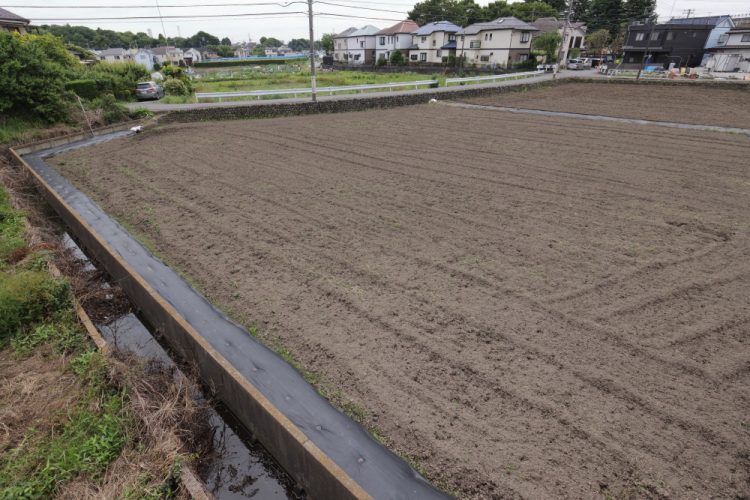 多摩川から水をひくという水田は、きれいに耕され、6月上旬の田植えのための準備がされている