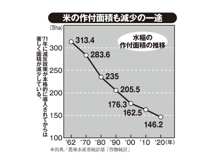 米の作付面積も減少の一途