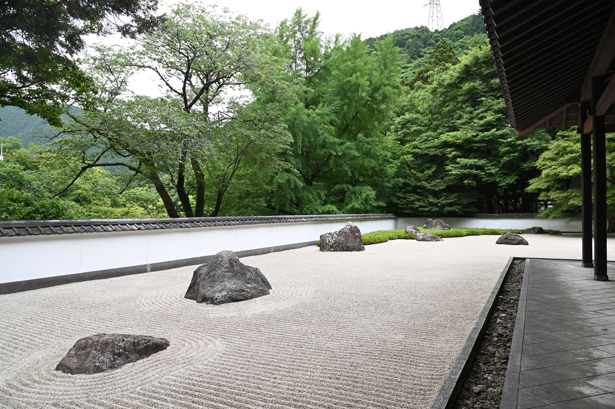 都会の喧騒を忘れる枯山水」「モネの絵画そのままに」…“知的探究心が