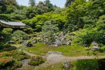 点在する石組についた苔が美しい庭園。ふだんは枯山水