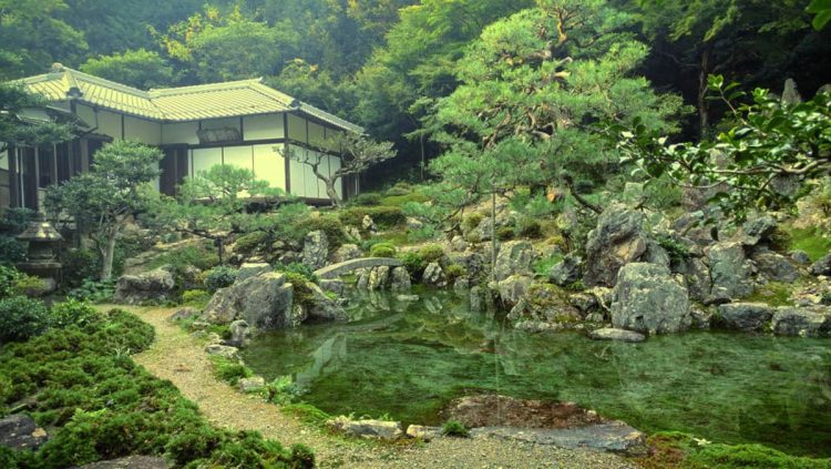 雨が多く降った日には苔の色が濃くなり、池が現れる