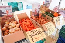 パン、野菜、高級宇治茶、25種類のドライフルーツも! 大阪・京都の「詰め放題サービス」4選
