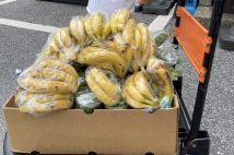 こんなにある!全国の変わり種「詰め放題」 訳あり青果、陶器、たらこ、みそ、鮮魚、古着も