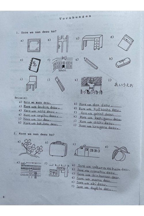 マライさんが日本語を学び始めた頃に使っていた問題集