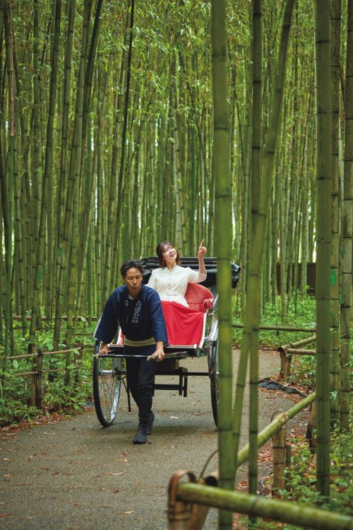 竹林の道。嵯峨野の竹林を人力車で通り抜ける中村さん