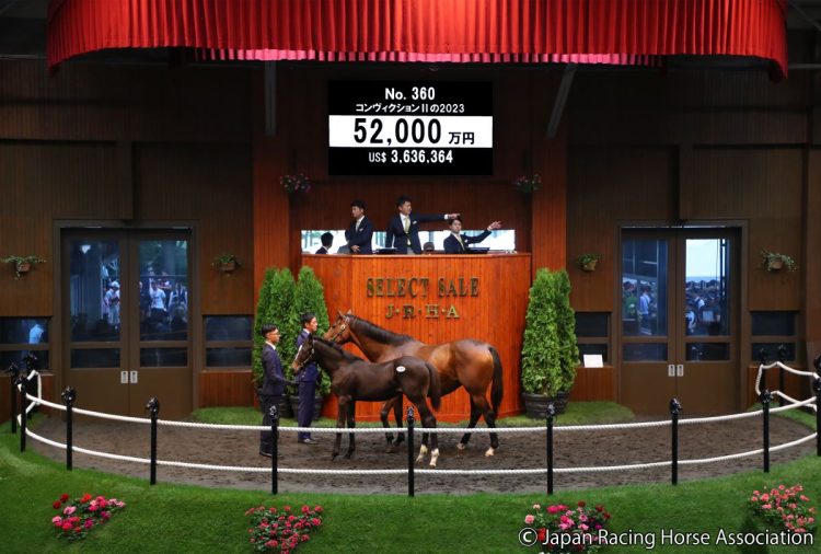 最高値を付けたコンヴィクションIIの2023（写真：Japan Racing Horse Association）