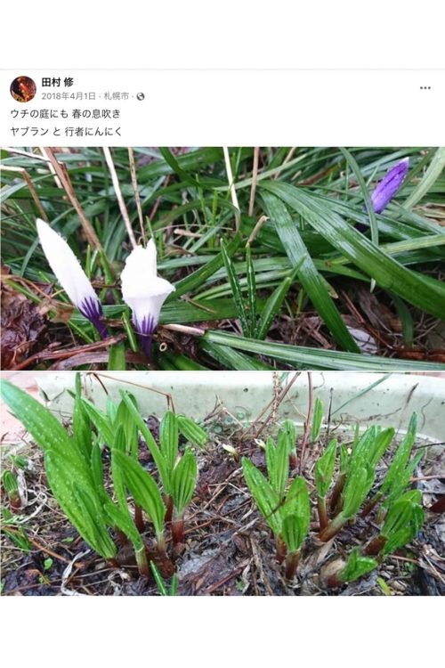 自宅では家庭菜園を行っていた（田村容疑者のFacebookより）